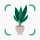 Plantify : 植物 識別 ケア, 花図鑑 icon