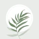 Blossom - Reconnaissez plantes icon