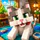 Cat Craft: Life Simulation icon