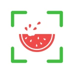 NutriPic: Contatore Calorie icon