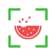 NutriPic: Contatore Calorie icon