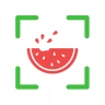 NutriPic: Contatore Calorie icon