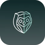 NightOwl Companion icon