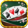 Buraco Pro HD icon
