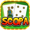 Scopa Online - Gioco di Carte icon