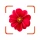 Plant App - Identifier & Care icon