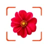PlantID - Identifier plantes icon