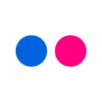 Flickr icon