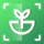 Plant Identifier - Iplant icon