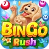 Bingo Rush - Club Bingo Games icon