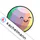 Pflotsh ECMWF icon