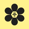 BFF: Make Friends & Meet Up icon