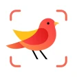Picture Bird - Vögel bestimmen icon