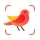 Picture Bird - Vögel bestimmen icon