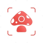 Picture Mushroom - Mushroom ID icon