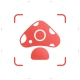 Picture Mushroom - Mushroom ID icon