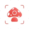 Picture Mushroom - Mushroom ID icon