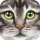 Ultimate Cat Simulator icon