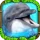 Dolphin Simulator icon