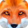 Ultimate Fox Simulator icon