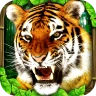 Tiger Simulator icon