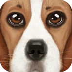 Ultimate Dog Simulator icon