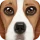 Ultimate Dog Simulator icon