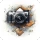 GPS Photo Location & Timestamp icon