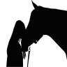 Chevaux - Quiz icon