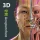 Visual Acupuncture 3D icon
