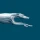 Greyhound: Buy Bus Tickets icon