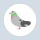 ポイポイはと icon