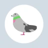 ポイポイはと icon