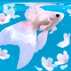 RYUKIN icon