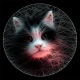 String Art Maker Pro icon