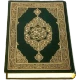 Al-Quran (Pro) icon