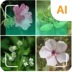 植物識別子 icon