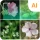 植物識別子 icon