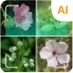 植物識別子 icon