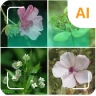 植物識別子 icon