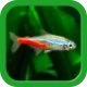 Tropical Aquarium - Mini Aqua icon