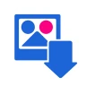 Flickr Saver icon