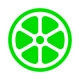 Lime - #RideGreen icon
