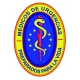 Médico de Urgencias icon