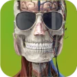 Memorix Anatomia i Histologia icon
