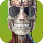 Memorix Anatomia i Histologia icon