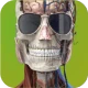 Memorix Anatomia i Histologia icon