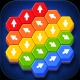 Hexout - Color Hexa Puzzle icon