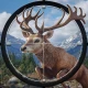 Hunting Battle: Hunter Game icon