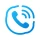 Any Call – Global Call icon